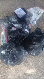 Polícia Civil de Cacoal incinera mais de 50 quilos de drogas em Ministro Andreazza